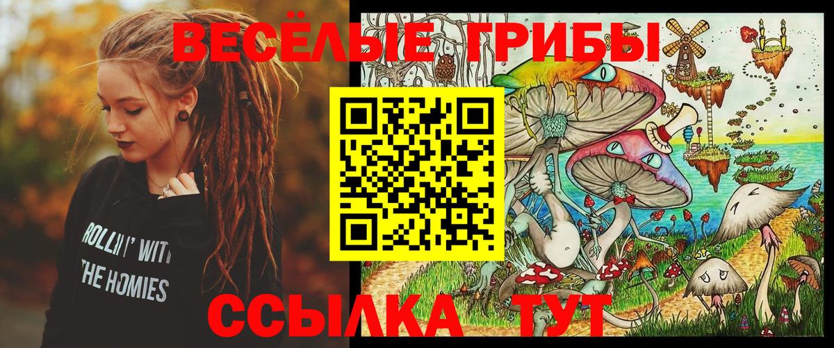 Галлюциногенные грибы Cubensis  Вход с VPN  Ржев 